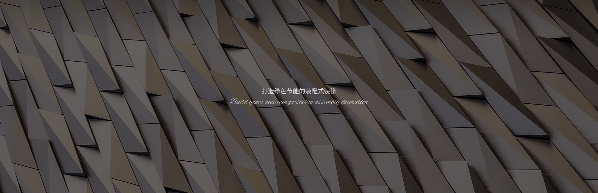 ��ϵ����